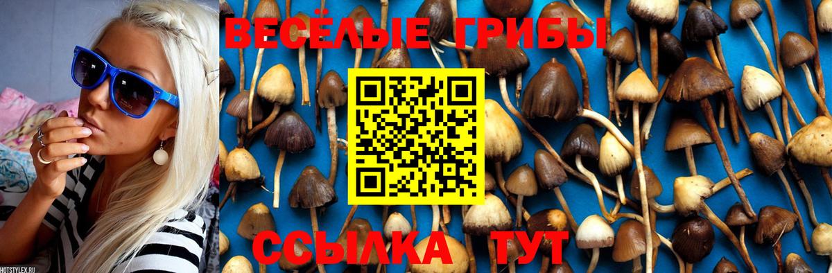 Рузаевка  Галлюциногенные грибы MAGIC MUSHROOMS  Галлюциногенные грибы Magic Shrooms  Вход с VPN 